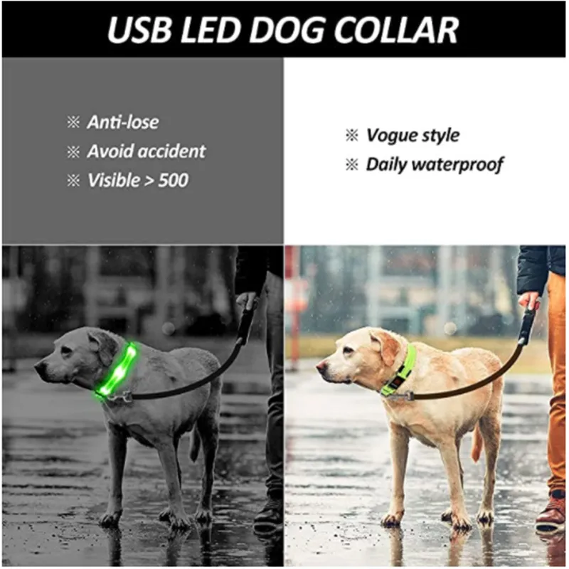 Adjustable LED Glowing Dog Collar: Flashing Rechargeable Luminous Collar for Night Safety