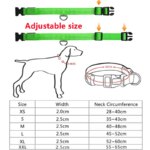 Adjustable LED Glowing Dog Collar: Flashing Rechargeable Luminous Collar for Night Safety