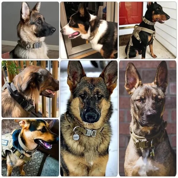 Tactical Police Dog Collar: Durable Nylon, Adjustable for Medium to Large Breeds