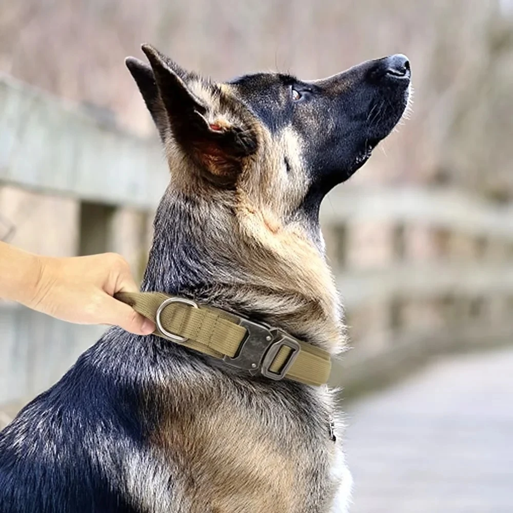 Tactical Police Dog Collar: Durable Nylon, Adjustable for Medium to Large Breeds