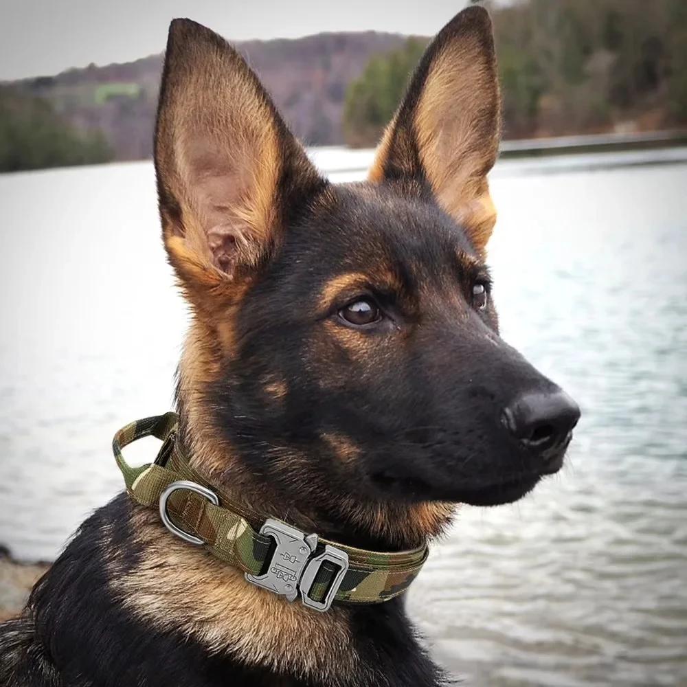 Tactical Police Dog Collar: Durable Nylon, Adjustable for Medium to Large Breeds