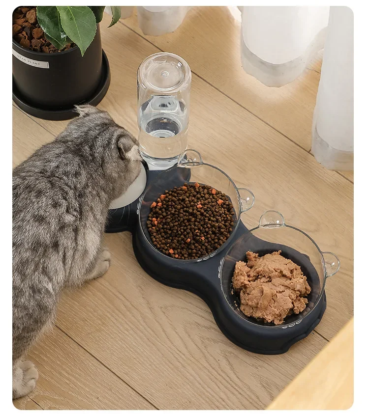 3-in-1 Automatic Pet Feeder: Double Bowl with Water Fountain, Raised Stand Dish for Cats and Dogs