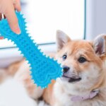Pet Chew Toy: Soft Rubber Bone Shape, Bite-Resistance, Teeth Grinding, Training Toy for Small Dogs