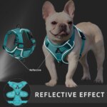 Reflective No-Pull Dog Harness Set: Adjustable Vest Strap with 1.5m Traction Leash, Breathable for Dogs, Puppies, and Cats