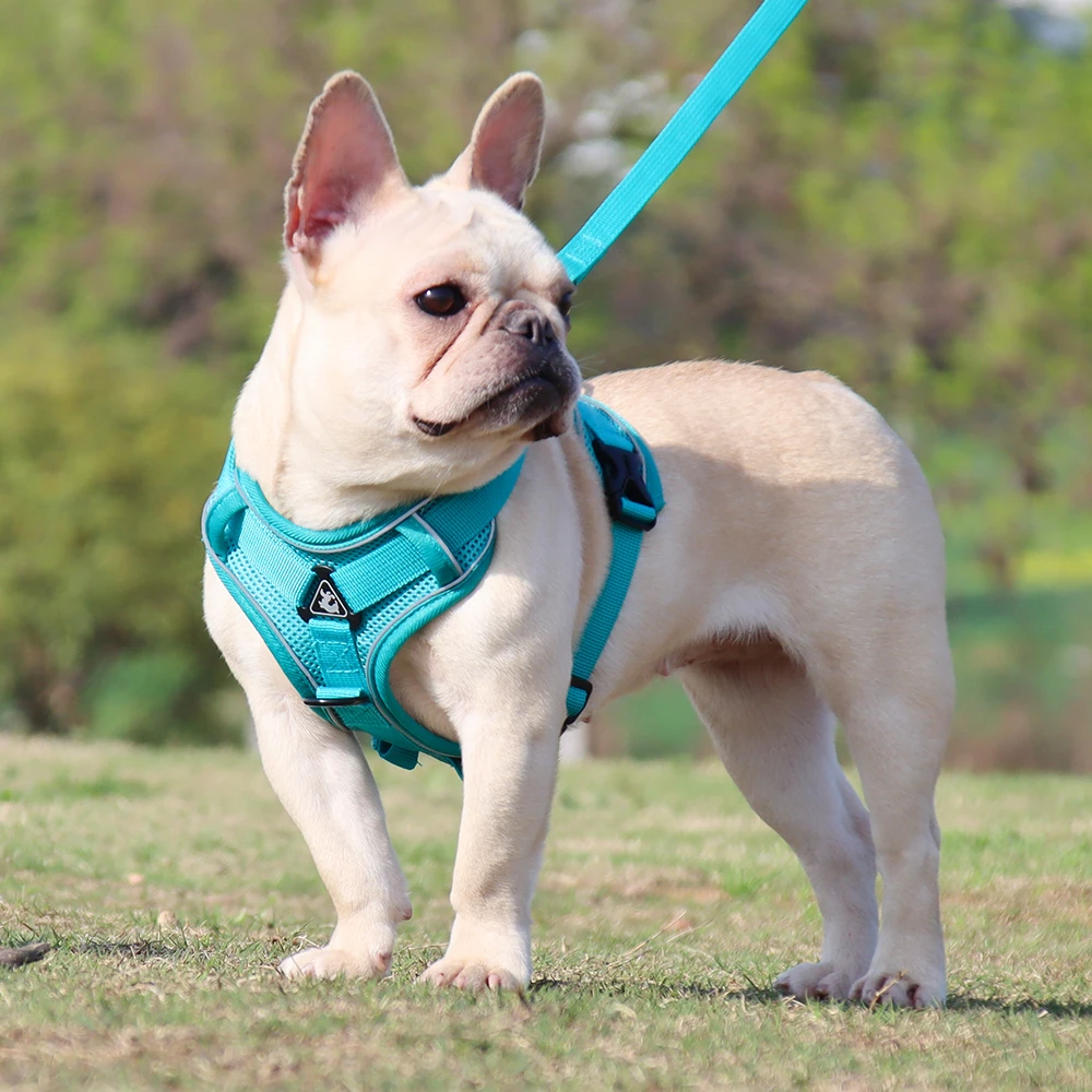 Reflective No-Pull Dog Harness Set: Adjustable Vest Strap with 1.5m Traction Leash, Breathable for Dogs, Puppies, and Cats