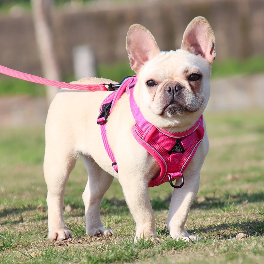 Reflective No-Pull Dog Harness Set: Adjustable Vest Strap with 1.5m Traction Leash, Breathable for Dogs, Puppies, and Cats