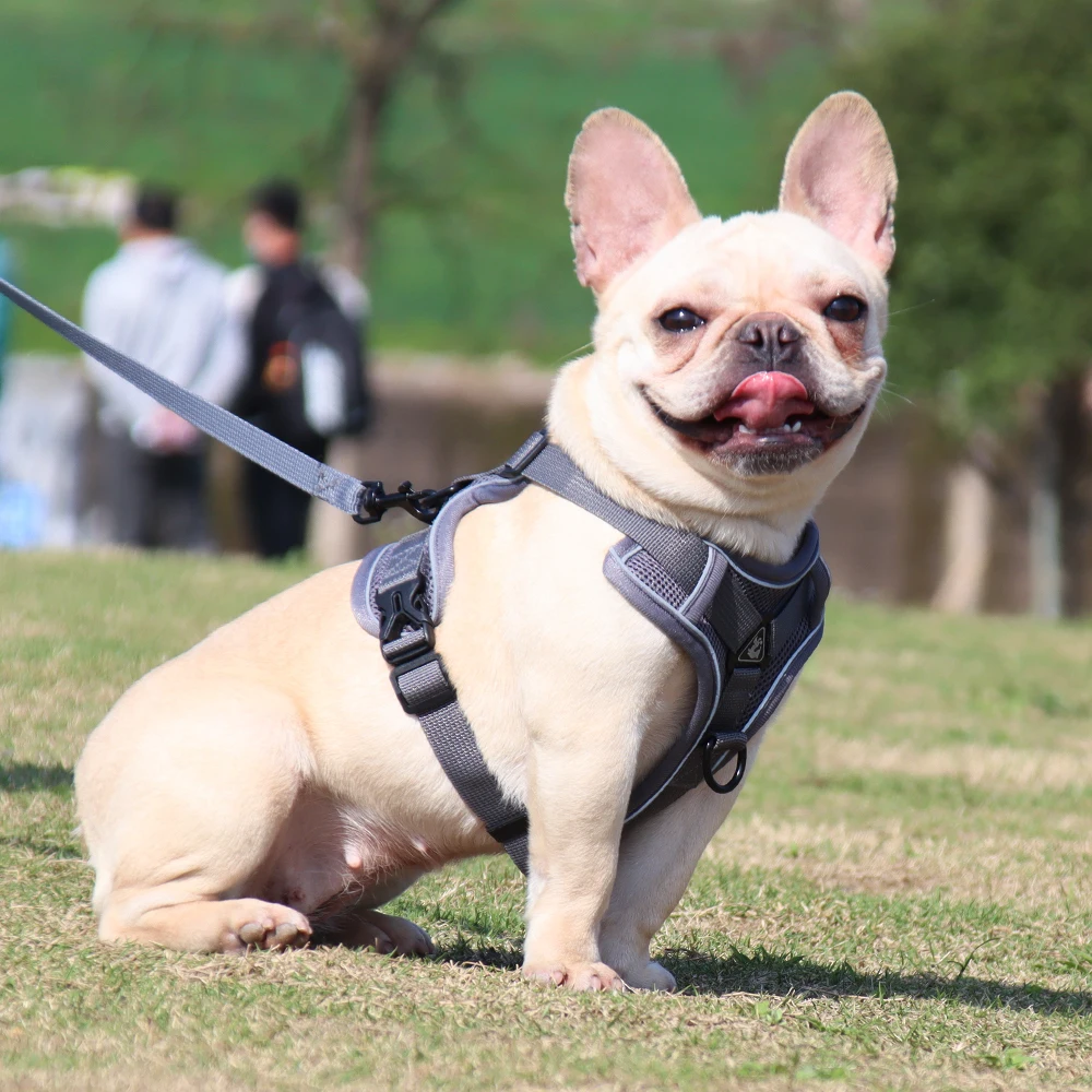 Reflective No-Pull Dog Harness Set: Adjustable Vest Strap with 1.5m Traction Leash, Breathable for Dogs, Puppies, and Cats