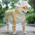Transparent Hooded Raincoat: Pet Waterproof Jacket made of Soft PVC, Ideal for Small Dogs and Puppies