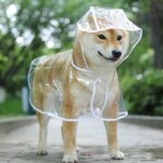 Transparent Hooded Raincoat: Pet Waterproof Jacket made of Soft PVC, Ideal for Small Dogs and Puppies