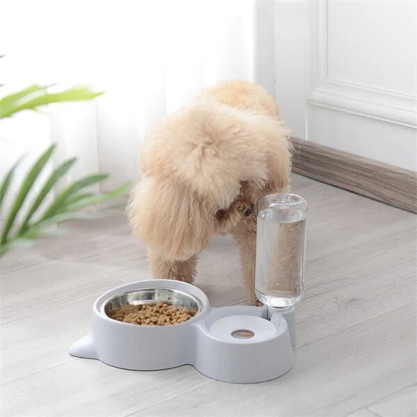 69691-aqul21.jpg New 2-in-1 Automatic Cat Bowl Water Dispenser: Pet Food Container with Waterer, Convenient Feeder and Waterer
