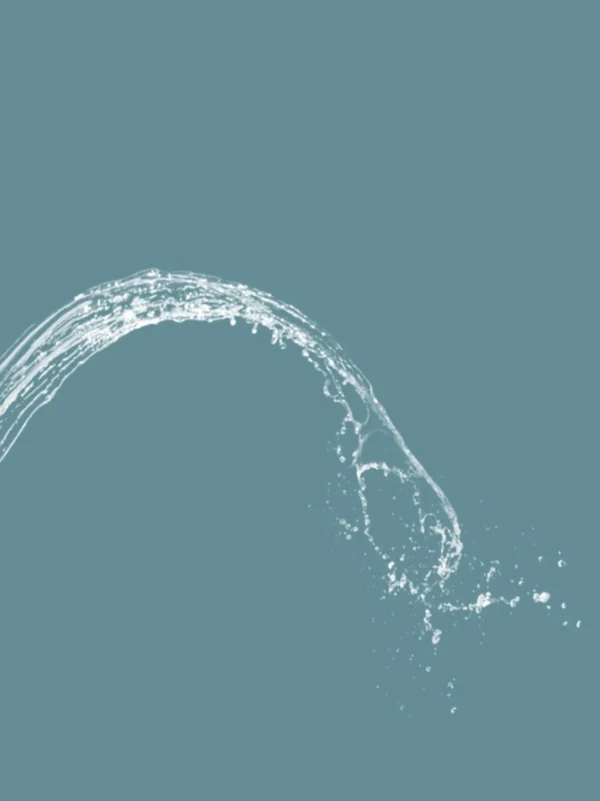 S0852187199d044e9b307efbf7fe9971fH Smart Self-Cleaning Bidet Attachment (Dual Nozzle) - No Electricity