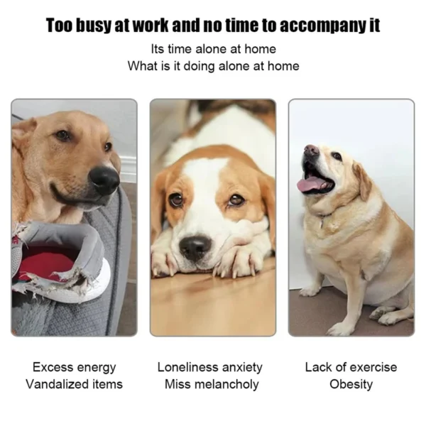 Automatic Tennis Launcher Pet Dogs Chase Toy Mini Tennis Throwing Pinball Machine Fun Interactive