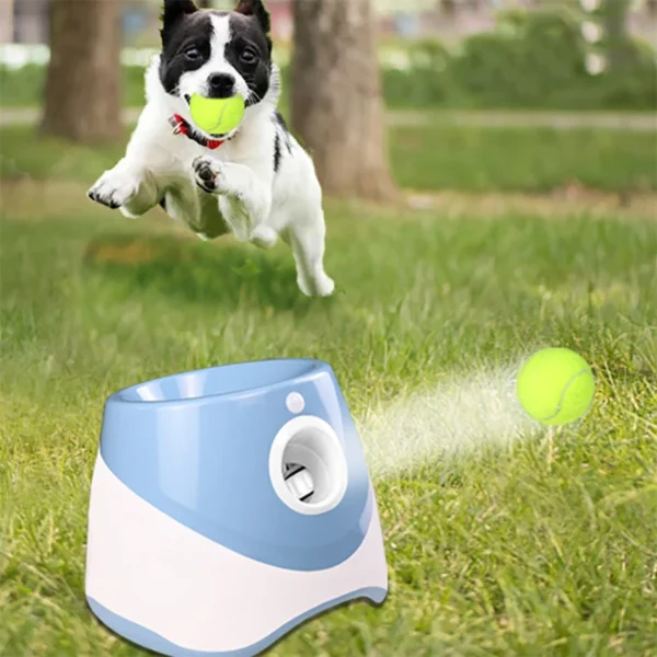Automatic Tennis Launcher Pet Dogs Chase Toy Mini Tennis Throwing Pinball Machine Fun Interactive