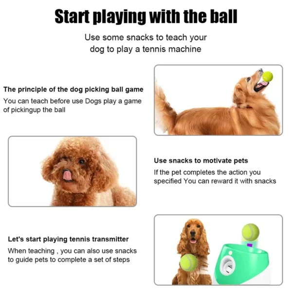 Automatic Tennis Launcher Pet Dogs Chase Toy Mini Tennis Throwing Pinball Machine Fun Interactive